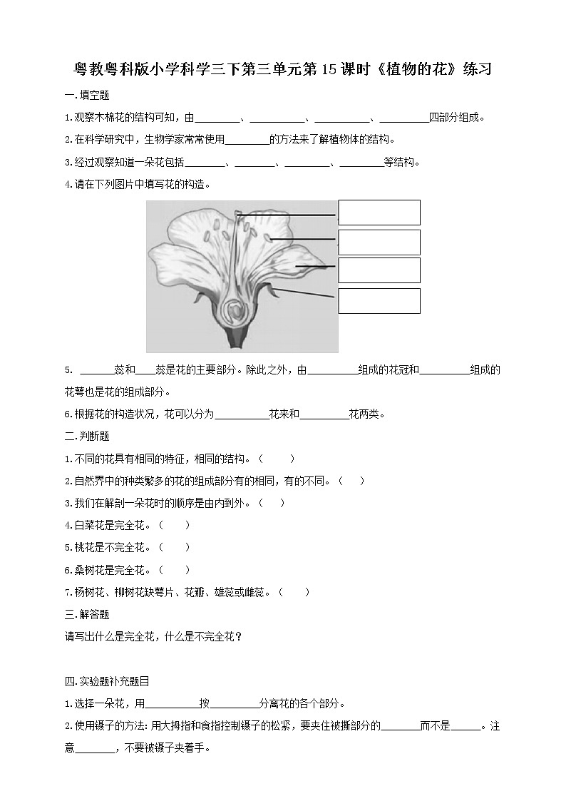 3.15《植物的花》课件+教案+练习01