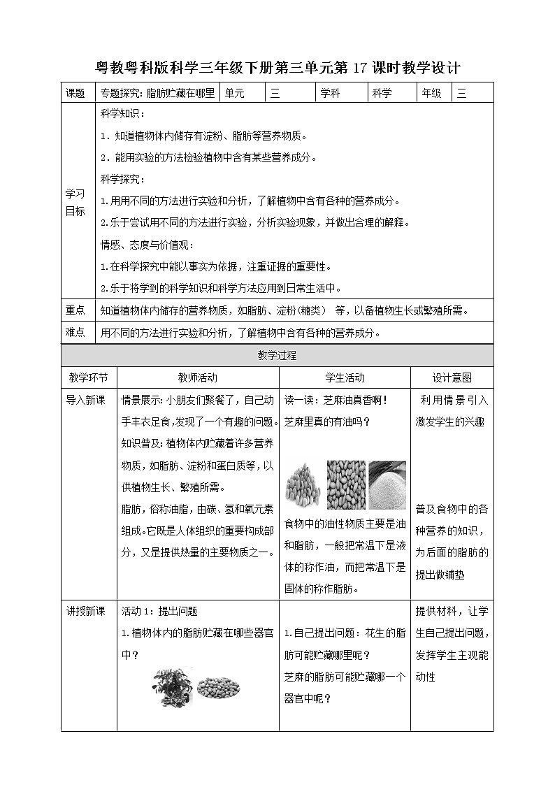 3.17《专题探究：脂肪贮藏在哪里》课件+教案+练习01