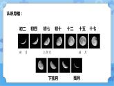 青島版（六三制2017秋）四年級(jí)下冊(cè)3.12.月相的變化 課件