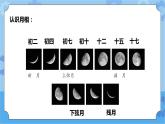 青岛版（六三制2017秋）四年级下册3.12.月相的变化 课件