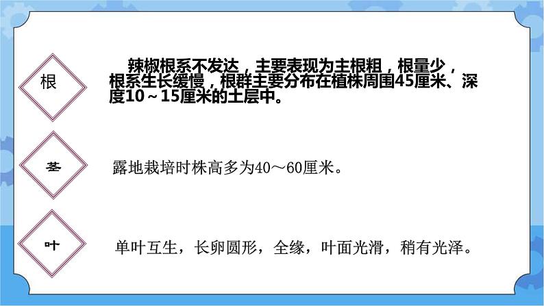 青岛版（六三制2017秋）四年级下册4.12.种辣椒 课件第3页