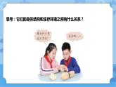 青岛版（六三制2017秋）四年级下册4.13.不同环境中的植物  课件