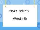 青岛版（六三制2017秋）四年级下册4.15.调查家乡植物 课件