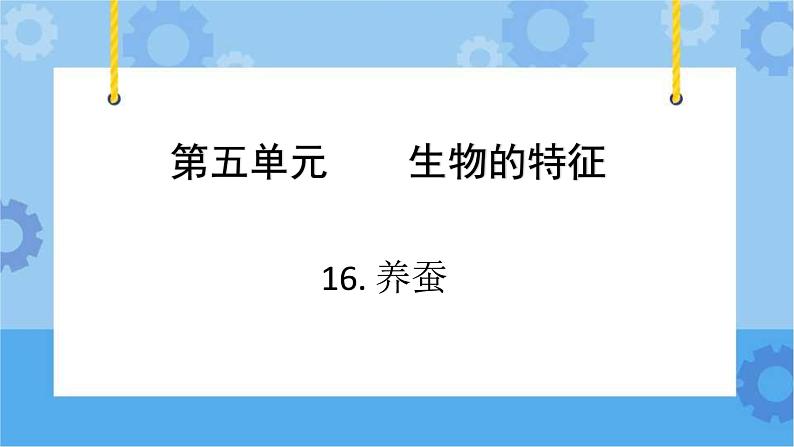 青岛版（六三制2017秋）四年级下册5.16.养蚕 课件第2页