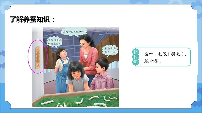 青岛版（六三制2017秋）四年级下册5.16.养蚕 课件第5页