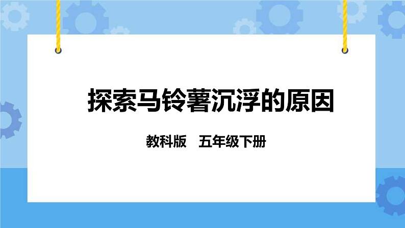 1.8  探索马铃薯沉浮的原因 课件+教案01