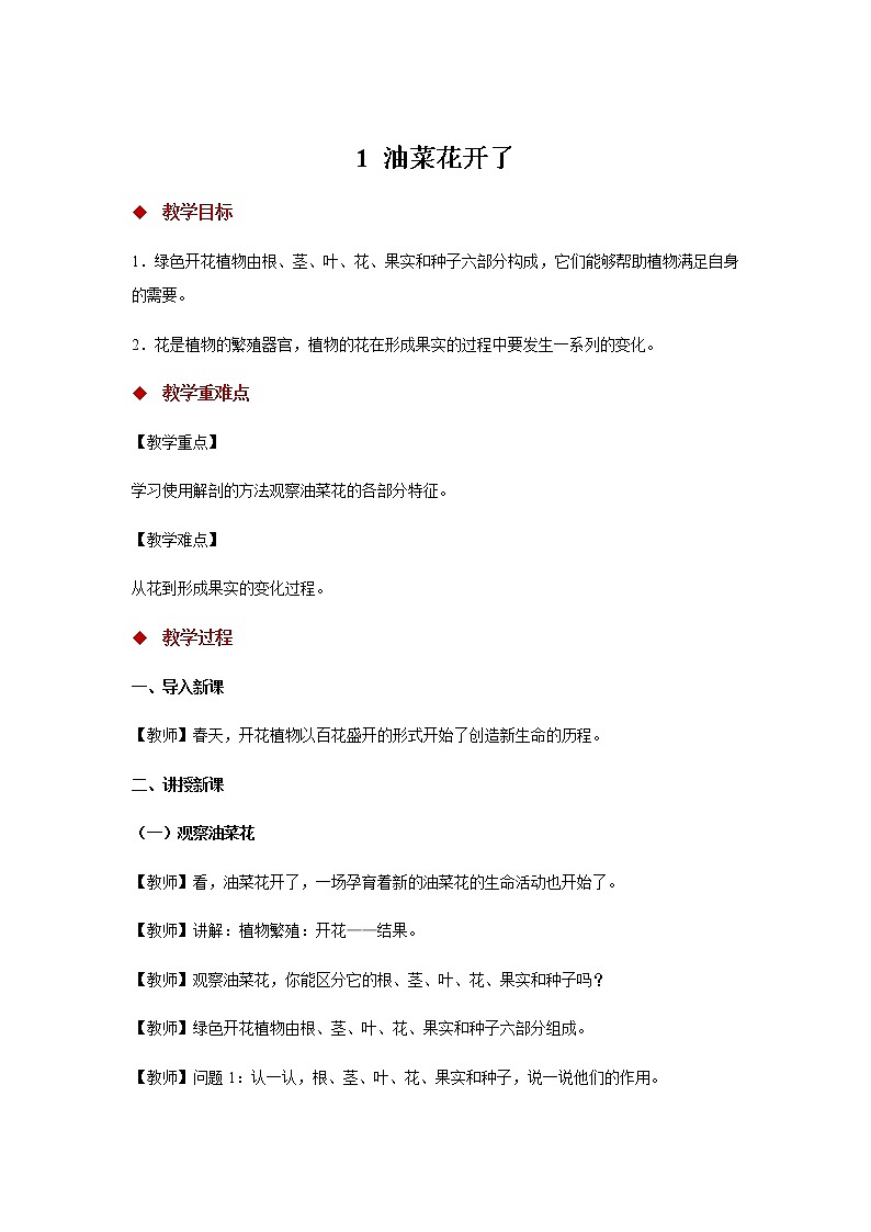 2.1油菜花开了  课件+教案01