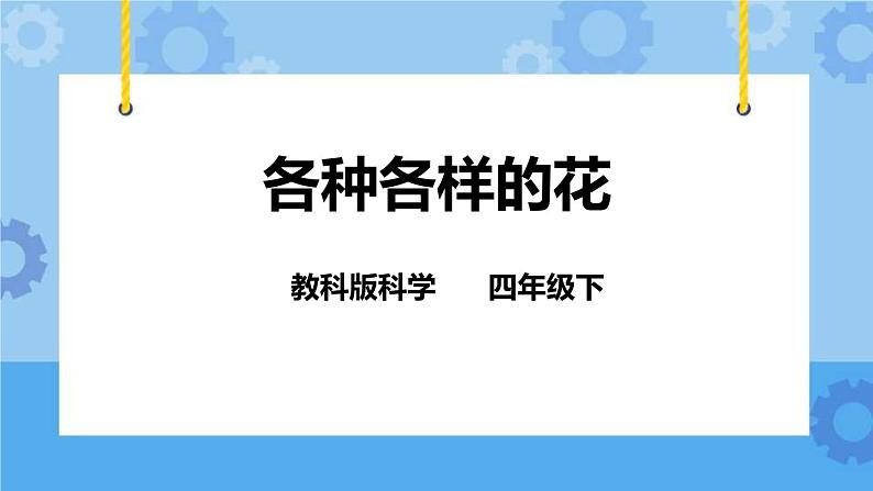 2.2各种各样的花  课件+教案01