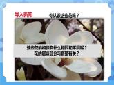 2.2各种各样的花  课件+教案