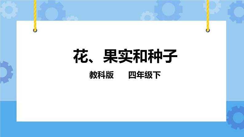 2.3花、果实和种子  课件+教案01