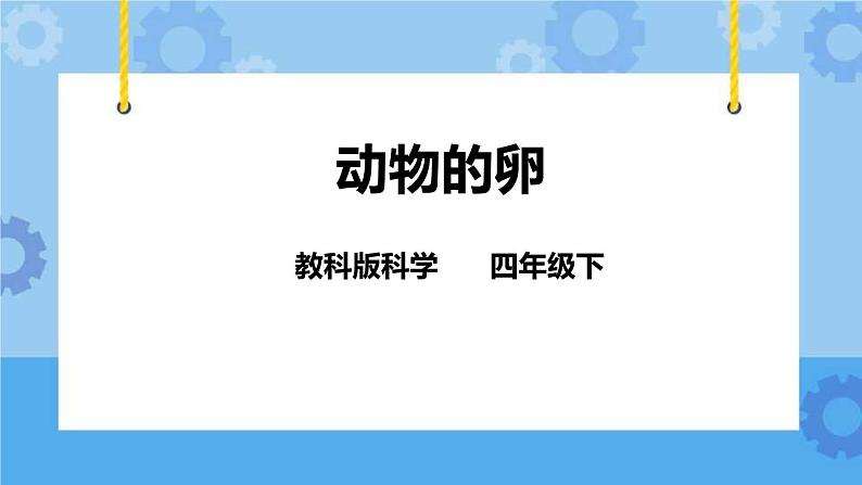2.6动物的卵  课件+教案01