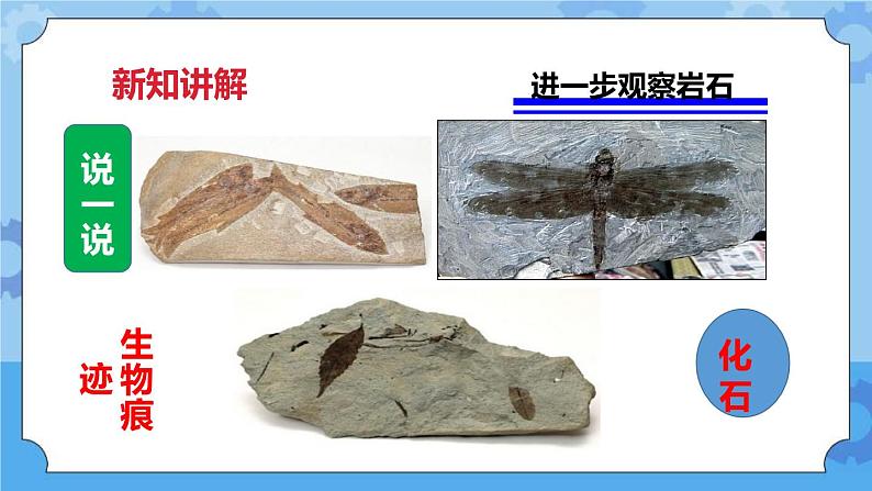 4.2 认识几种常见的岩石  课件+教案07