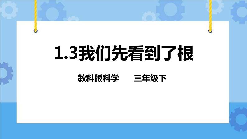 1.3 我们先看到了根 课件01