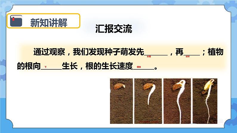 1.3 我们先看到了根 课件05