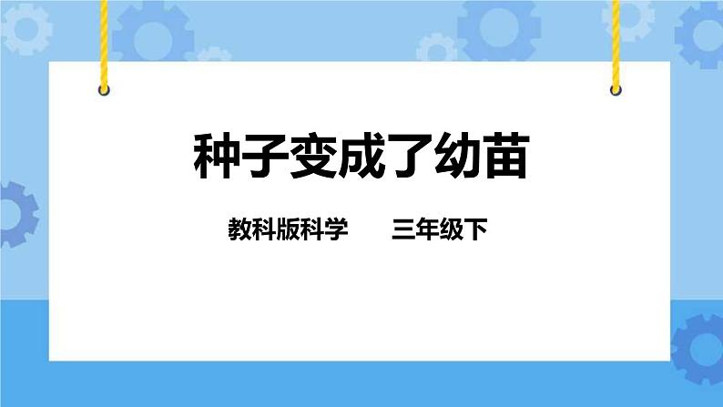 1.4 种子变成了幼苗 课件01