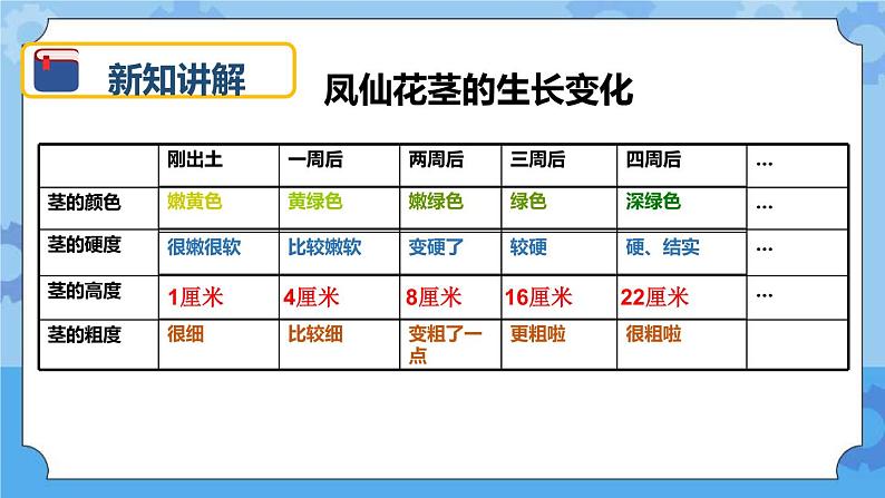 1.5 茎越长越高 课件05