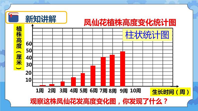 1.5 茎越长越高 课件06