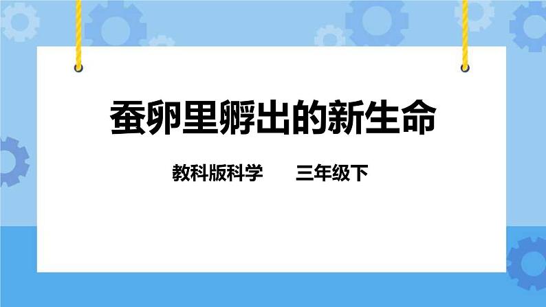 2.1 蚕卵里孵出的新生命 课件01