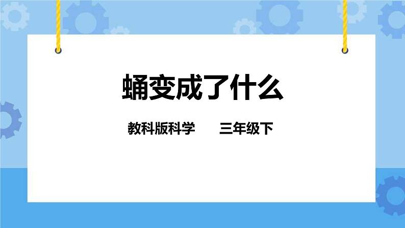 2.4 蛹变成了什么 课件第1页