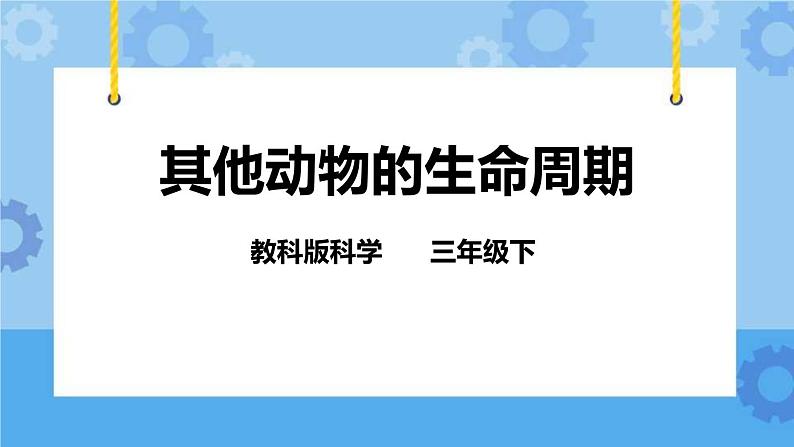 2.6 其他动物的生命周期 课件01