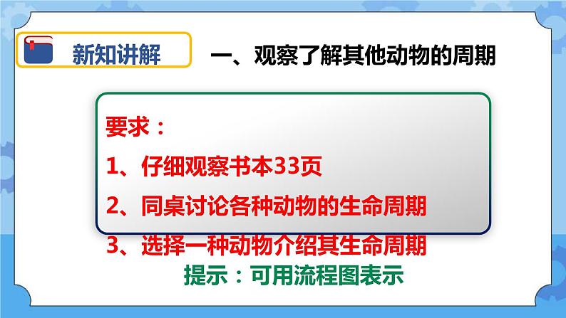 2.6 其他动物的生命周期 课件04