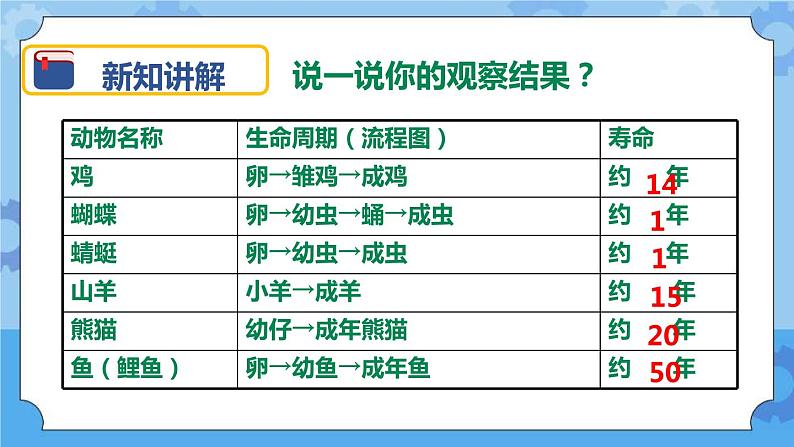 2.6 其他动物的生命周期 课件06