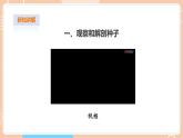 【蘇教版】四下科學(xué) 4.12《用種子繁殖》（課件+教案+練習(xí)+素材）