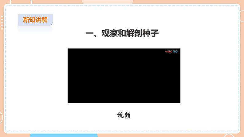 【苏教版】四下科学 4.12《用种子繁殖》（课件+教案+练习+素材）04