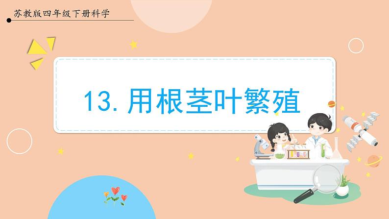 【苏教版】四下科学 4.13《用根、茎、叶繁殖》（课件+教案+练习+素材）01