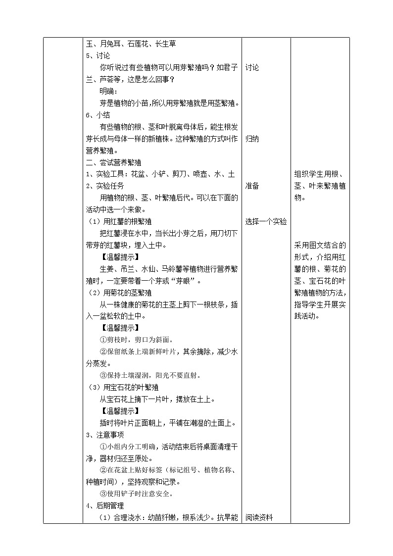 【苏教版】四下科学 4.13《用根、茎、叶繁殖》（课件+教案+练习+素材）02