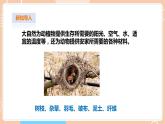 【蘇教版】四下科學(xué) 5.16《動(dòng)物的庇護(hù)所》（課件+教案+練習(xí)+素材）