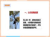 【蘇教版】四下科學(xué) 5.16《動(dòng)物的庇護(hù)所》（課件+教案+練習(xí)+素材）