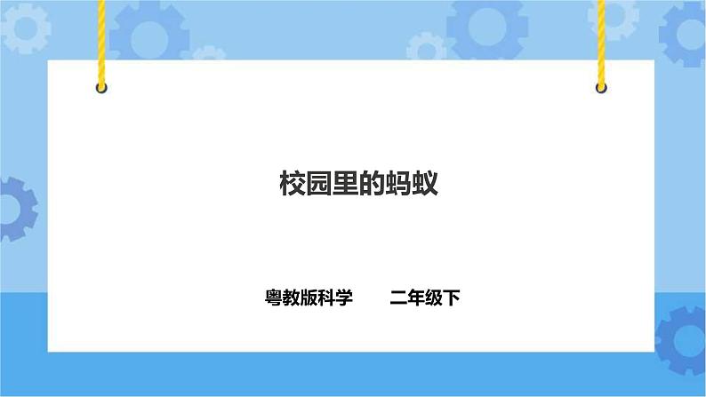 1.2 《校园里的蚂蚁》课件+教案+练习+素材01