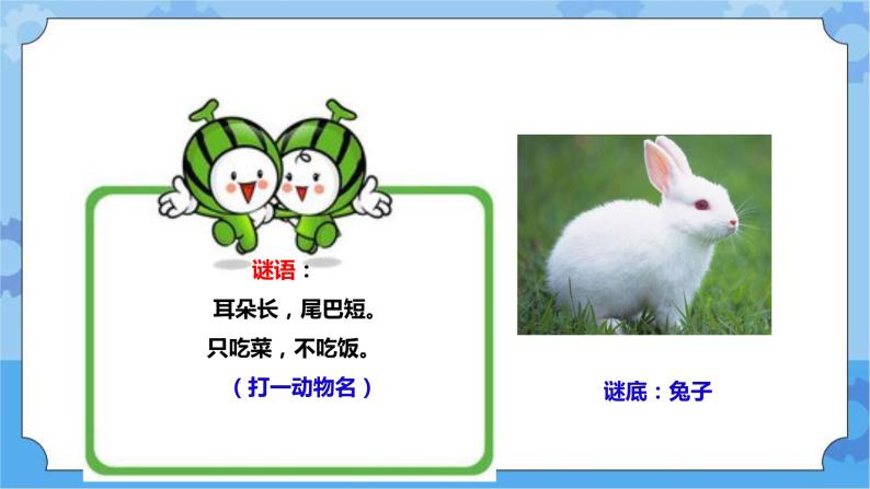1.4《家里的兔子》课件+教案+练习02