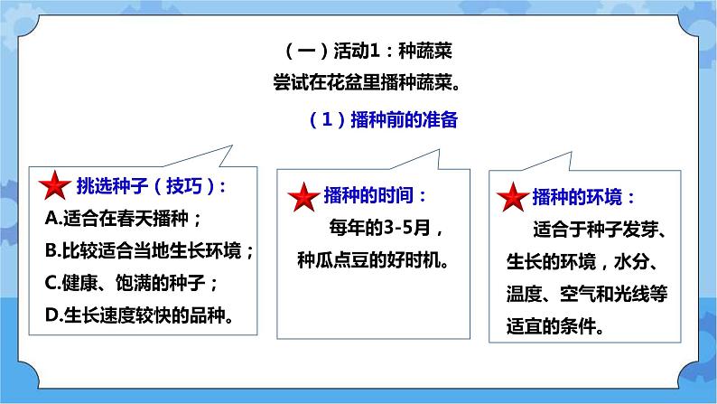 2.6《动手种蔬菜》课件+教案+练习03