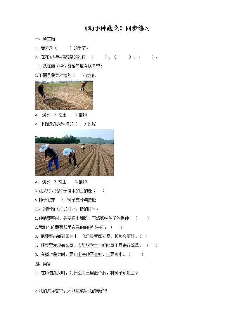 2.6《动手种蔬菜》课件+教案+练习01