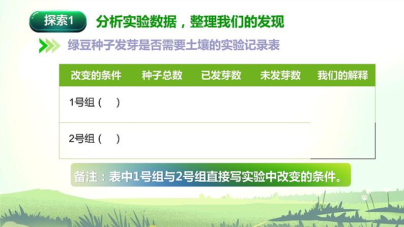 1.2 比较种子发芽实验（课件）-2022-2023学年五年级科学下册同步备课（教科版）03