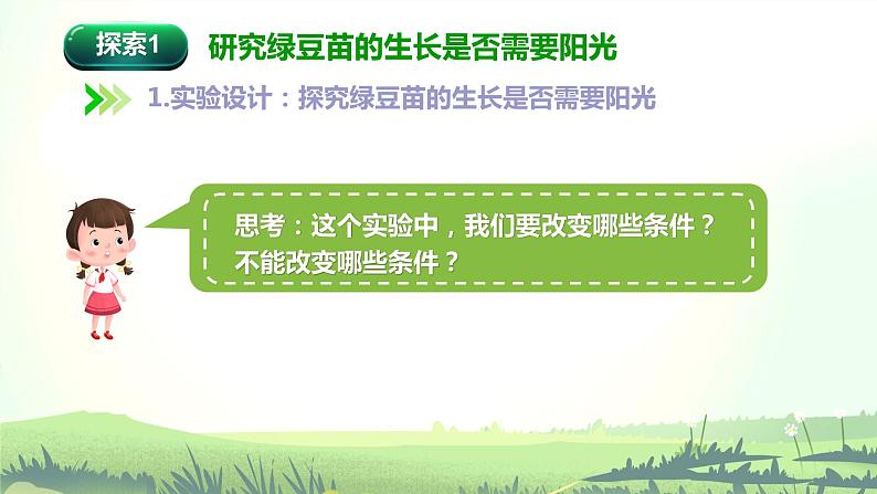 1.3 绿豆苗的生长（课件）-2022-2023学年五年级科学下册同步备课（教科版）03