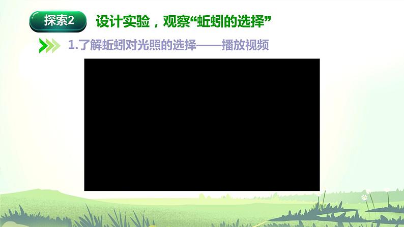 1.4 蚯蚓的选择（课件）-2022-2023学年五年级科学下册同步备课（教科版）第8页