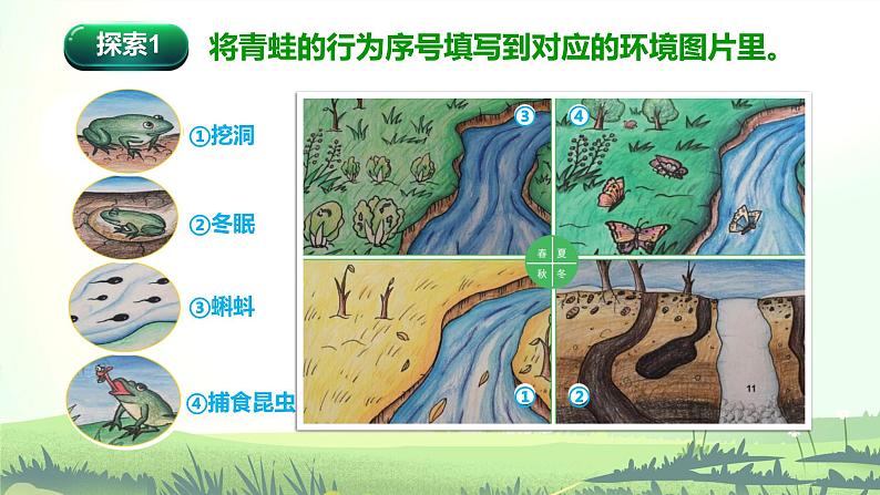 1.5 当环境改变了（课件）-2022-2023学年五年级科学下册同步备课（教科版）04