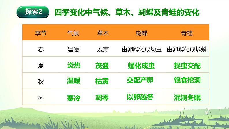 1.5 当环境改变了（课件）-2022-2023学年五年级科学下册同步备课（教科版）06