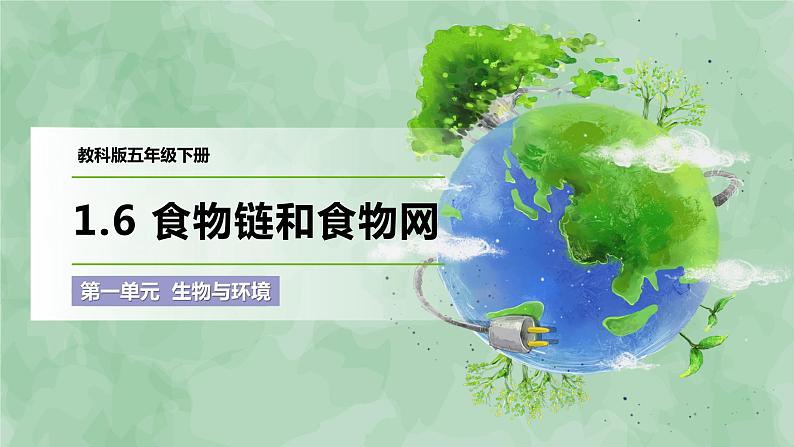 1.6 食物链和食物网（课件）-2022-2023学年五年级科学下册同步备课（教科版）01