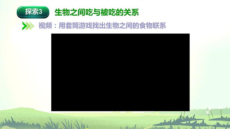 1.6 食物链和食物网（课件）-2022-2023学年五年级科学下册同步备课（教科版）08