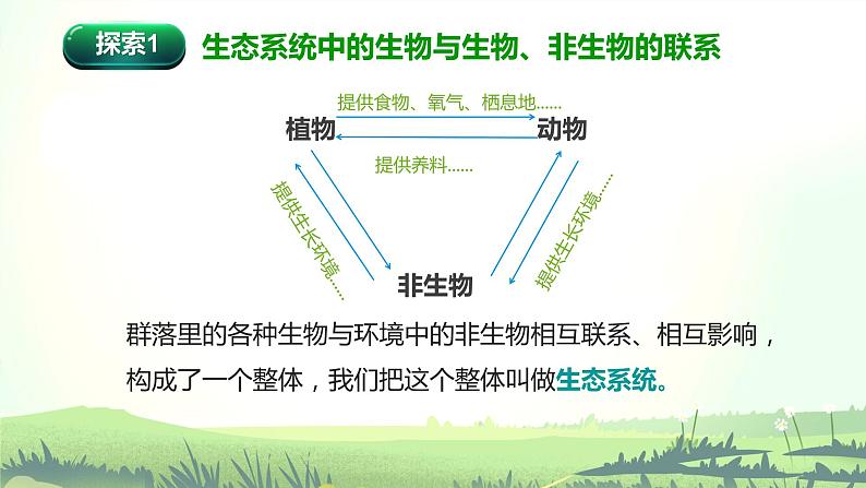 1.7 设计和制作生态瓶（课件）-2022-2023学年五年级科学下册同步备课（教科版）05