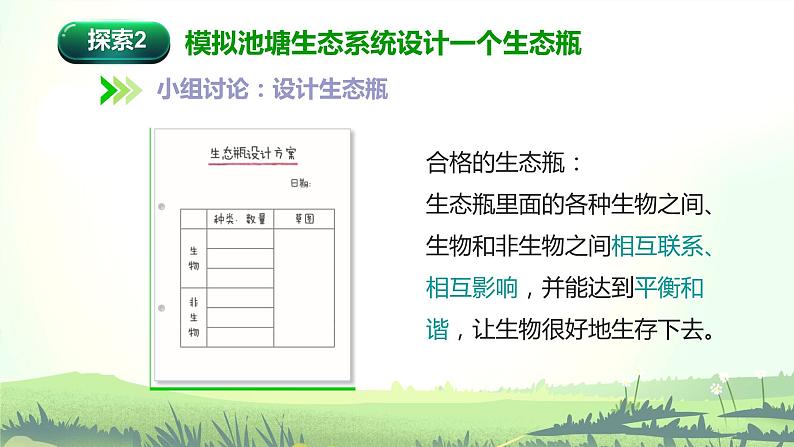 1.7 设计和制作生态瓶（课件）-2022-2023学年五年级科学下册同步备课（教科版）08