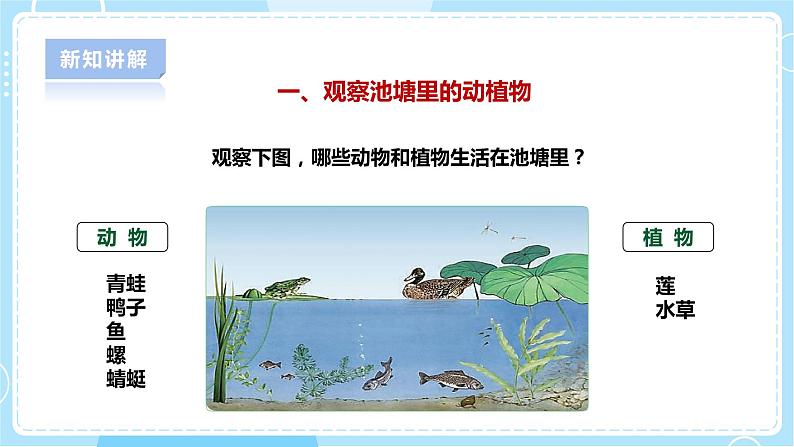 【人教鄂教版】六下科学  1.1《生物的栖息地》课件+教案+同步练习06