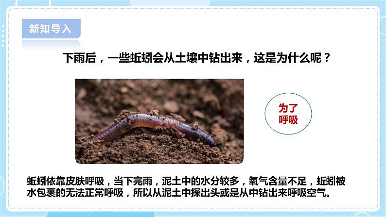 【人教鄂教版】六下科学  1.2《动物对环境的适应》课件+教案+同步练习05
