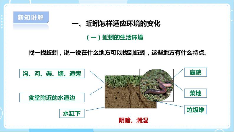 【人教鄂教版】六下科学  1.2《动物对环境的适应》课件+教案+同步练习06