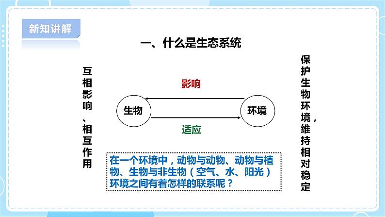 【人教鄂教版】六下科学  1.3《保护生物与环境》课件+教案+同步练习07