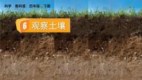 小学科学6.观察土壤优秀ppt课件